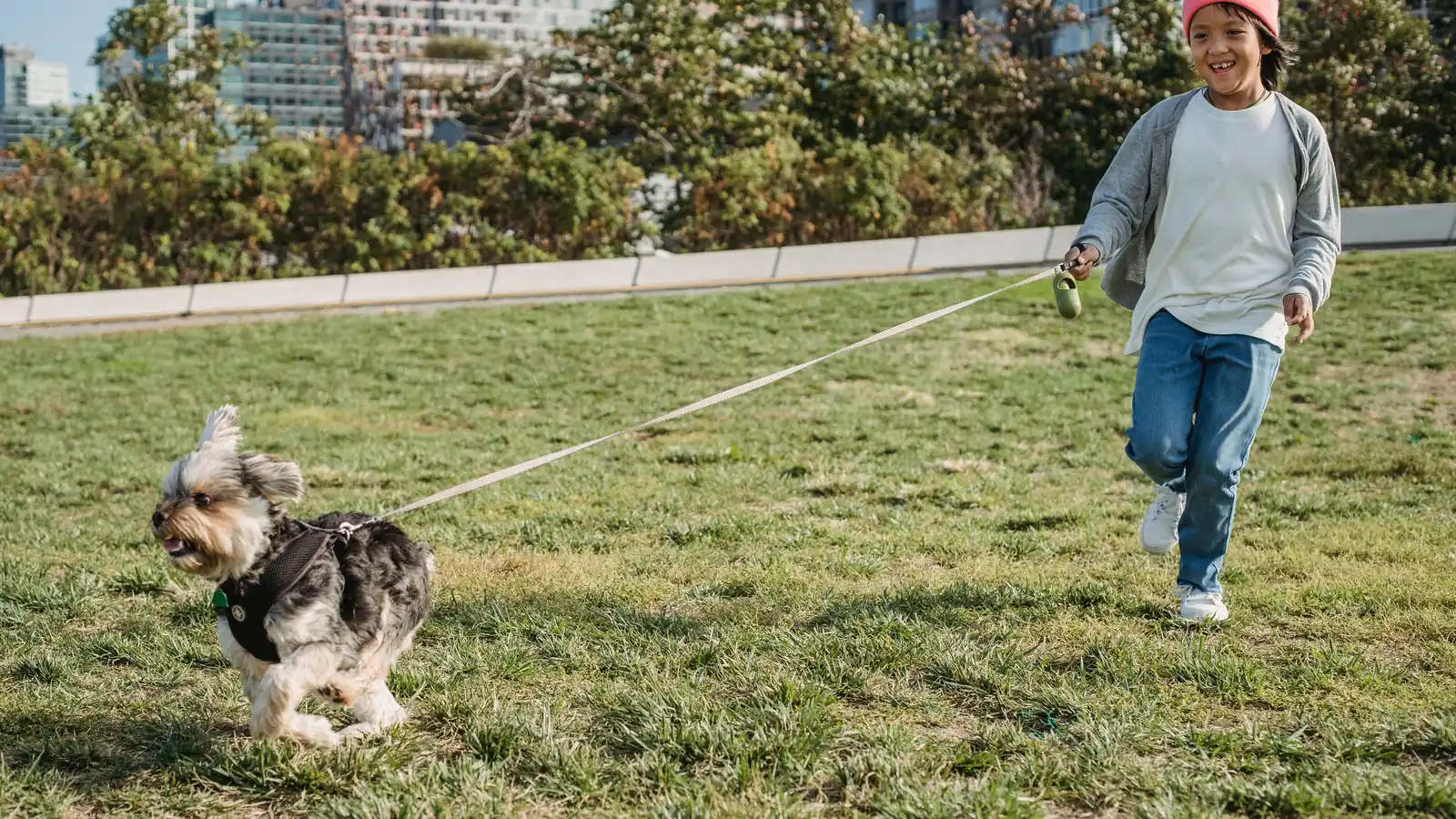 Boy running across grass with a small dog on a leash.